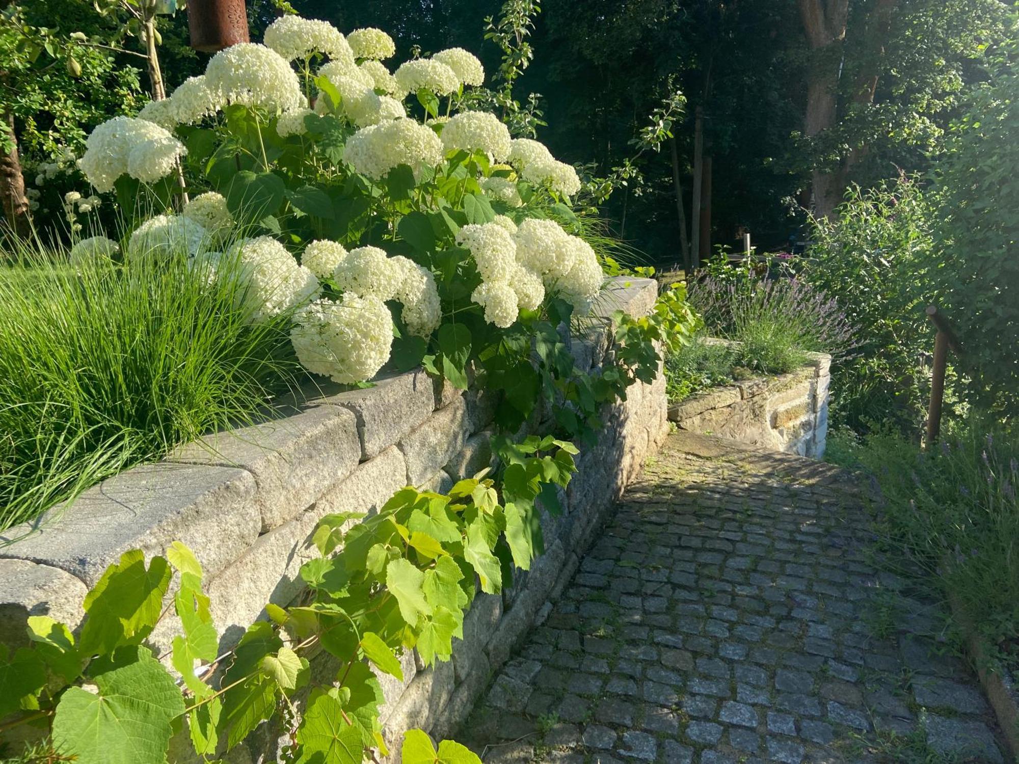 Romantik Idyll Am Tiefental Konigsbruck المظهر الخارجي الصورة