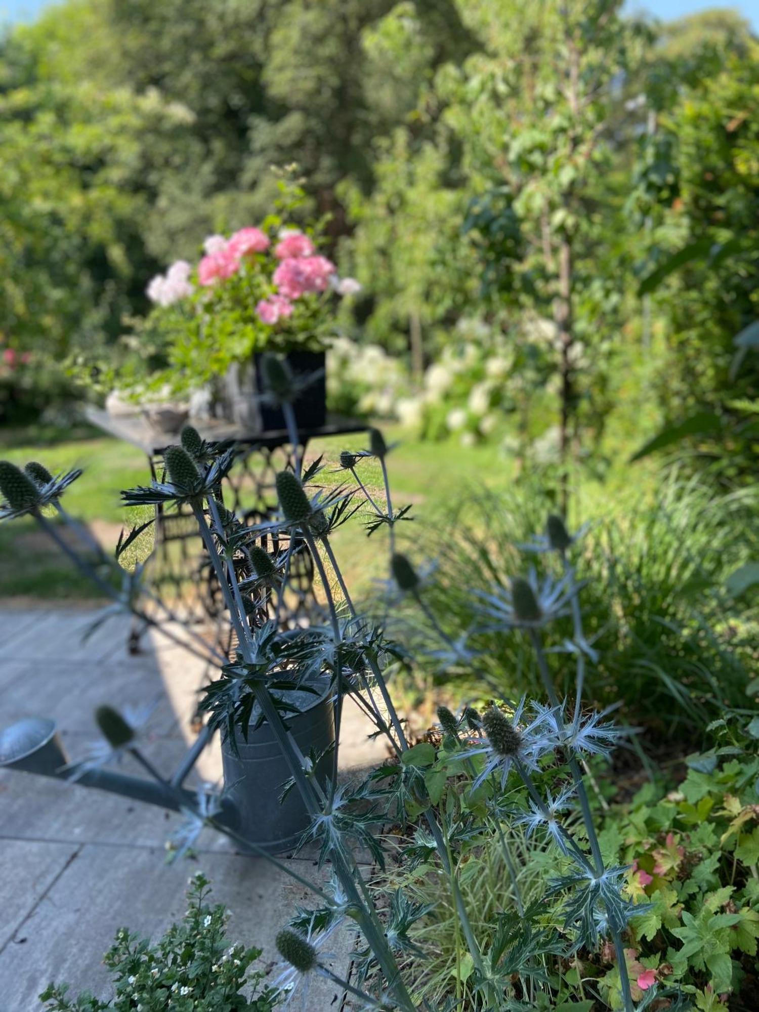 Romantik Idyll Am Tiefental Konigsbruck المظهر الخارجي الصورة